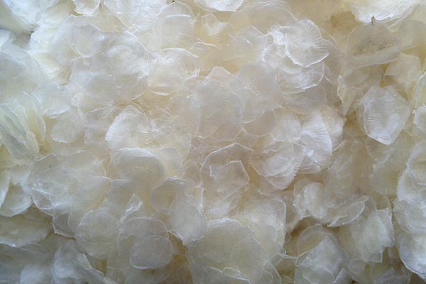 Ó���~(y��)�[_����(y��ng)��(y��u)�|(zh��)Ó���~(y��)�[_Ó���~(y��)�[�r(ji��)��_Ó���~(y��)�[�S(ch��ng)��_Ó���~(y��)�[���l(f��)�N(xi��o)��