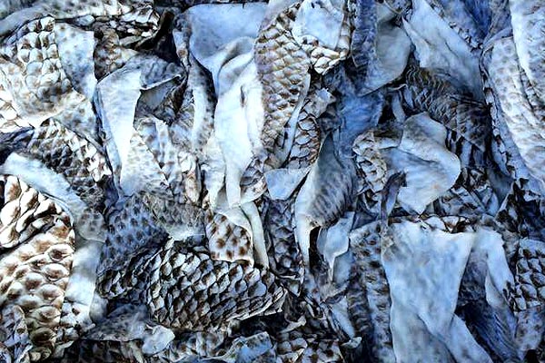 ���_���~(y��)Ƥ_���_���~(y��)Ƥ�a(ch��n)Ʒ��B_���_���~(y��)Ƥ�r(ji��)��_���_���~(y��)ƤԔ��(x��)��Ϣ