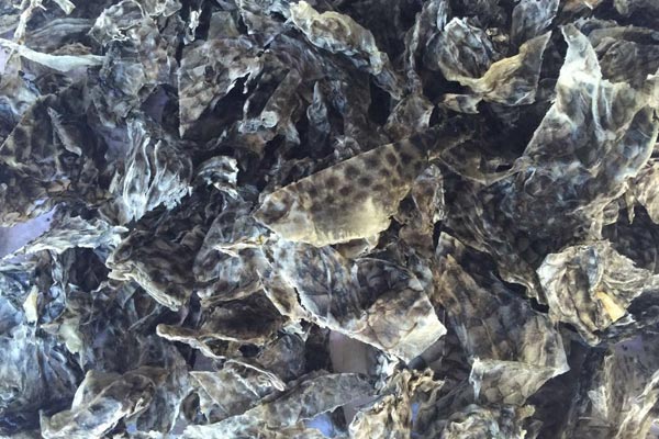 ���_���~(y��)Ƥ_���_���~(y��)Ƥ�a(ch��n)Ʒ��B_���_���~(y��)Ƥ�r(ji��)��_���_���~(y��)Ƥ����(y��ng)��Ϣ