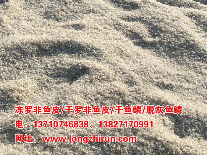 ���~(y��)�[_���~(y��)�[���l(f��)_���~(y��)�[�r(ji��)��_���~(y��)�[�S(ch��ng)��_����(y��ng)��(y��u)�|(zh��)���~(y��)�[�N(xi��o)��