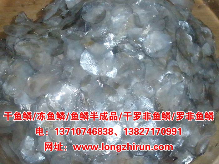 ���~(y��)�[_����(y��ng)��(y��u)�|(zh��)���~(y��)�[_���~(y��)�[�r(ji��)��_���~(y��)�[�S(ch��ng)��_���~(y��)�[���l(f��)�N(xi��o)��Ԕ��(x��)��Ϣ